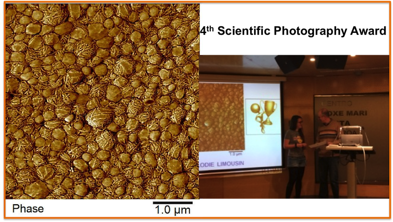 4th POLYMAT Scientific Photography Award