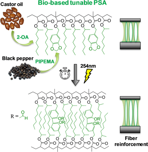 The Work of PhD Student Adrian Badia on Biobased Adhesives highlighted on C&EN