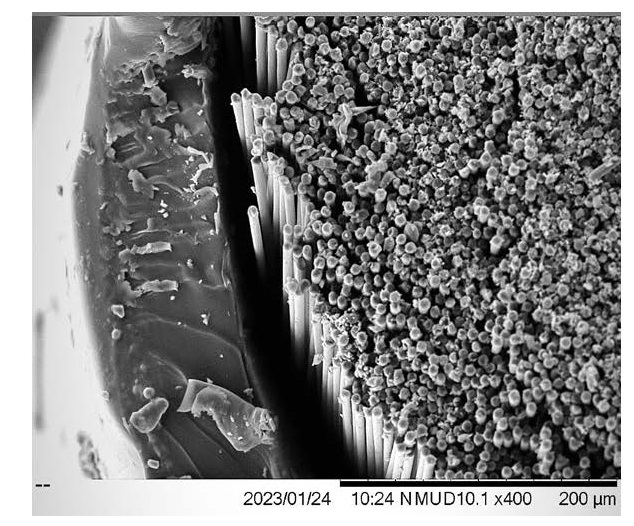 Enrique Hernandez Murillo wins POLYMAT photo contest