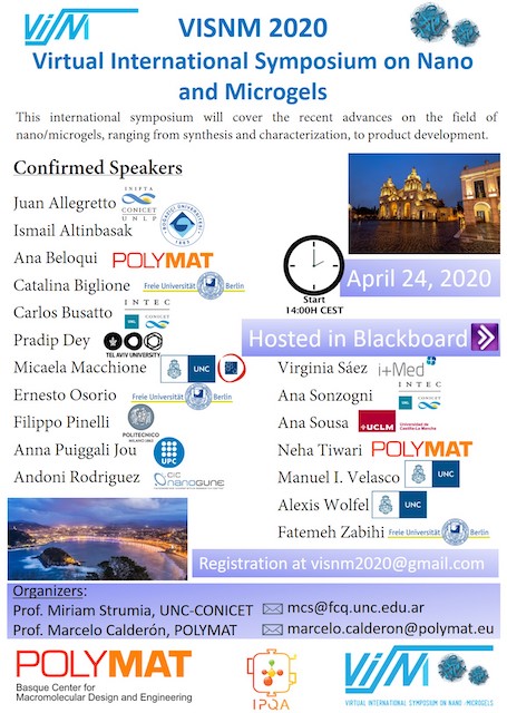POLYMAT Prof. Marcelo Calderon hosts a virtual symposium about nano and microgels