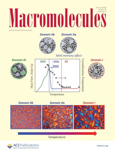 Prof. Alejandro J. M&uuml;ller just published an invited Perspective article in the journal MACROMOLECULES