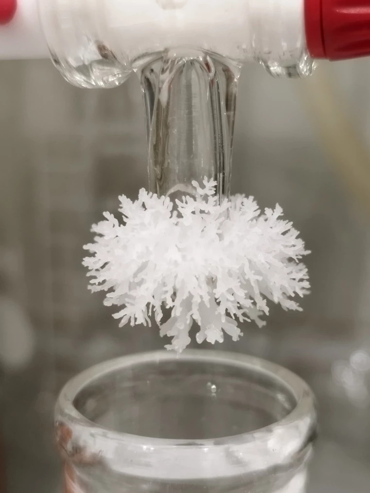 Mar&iacute;a Barcenilla winner of the &ldquo;Chemistry in Pictures&rdquo; (C&EN)