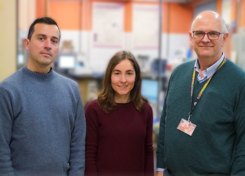 Three POLYMAT Researchers Publish in Nature Communications