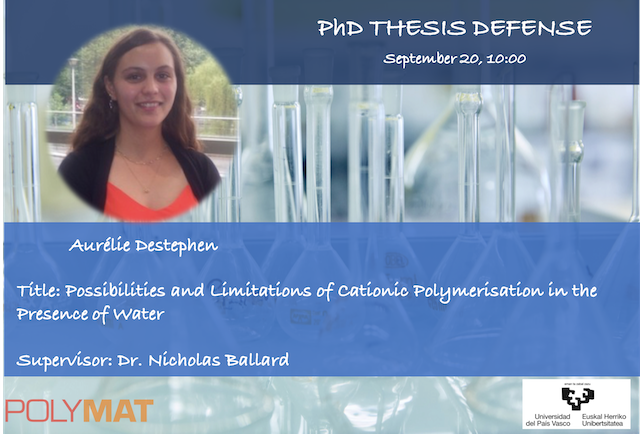 Aur&eacute;lie Destephen successfully defends her PhD
