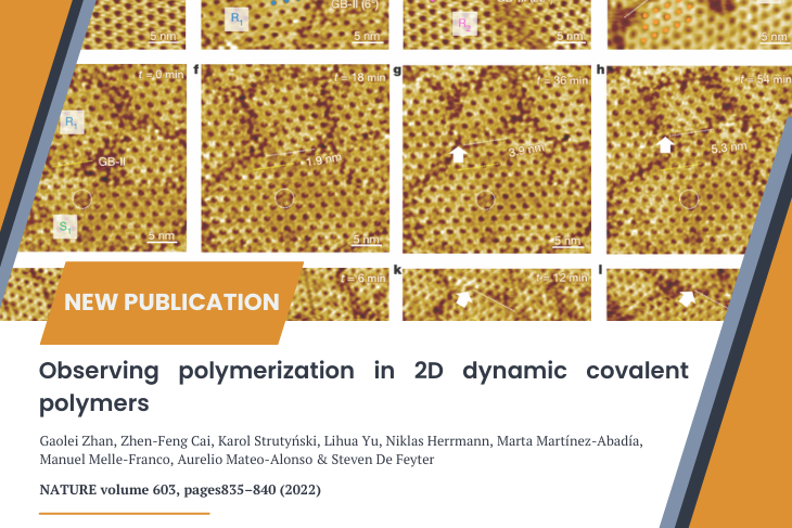 Prof. Aurelio Mateo-Alonso has published an article in Nature