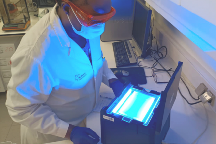 POLYMAT will be a center that will host a female researcher in the 8&ordm; edition of the Science by Women program of the Women for Africa Foundation.
